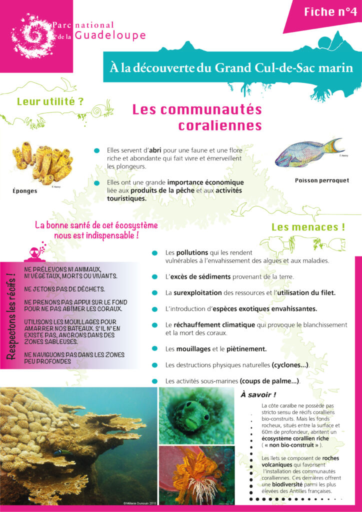 Les communautés coralliennes